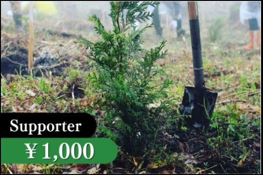 苗木1本の寄付の画像