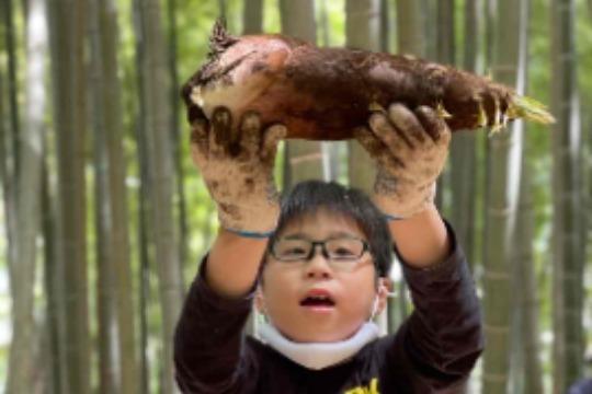 ご寄付の御礼の画像