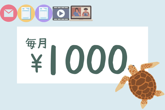 1年で760匹の赤ちゃんガメを海に帰すことができますの画像