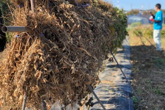 リターンなしの応援!の画像