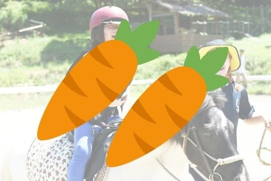 御礼・特典の画像