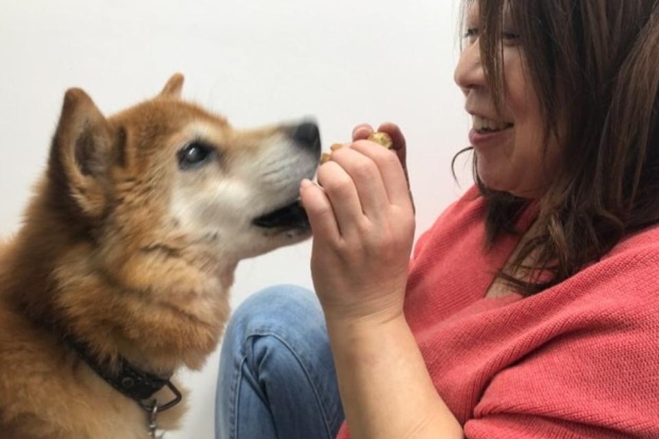 Issues we are working on Image