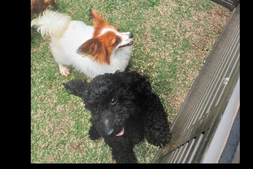 私たちの取り組む課題の画像