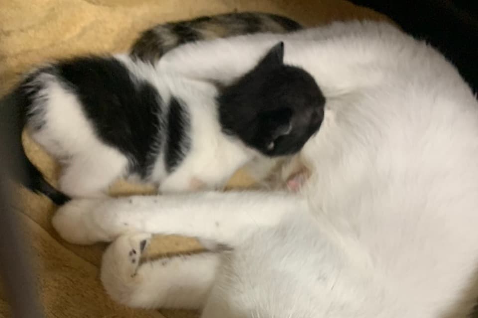 私たちの取り組む課題の画像