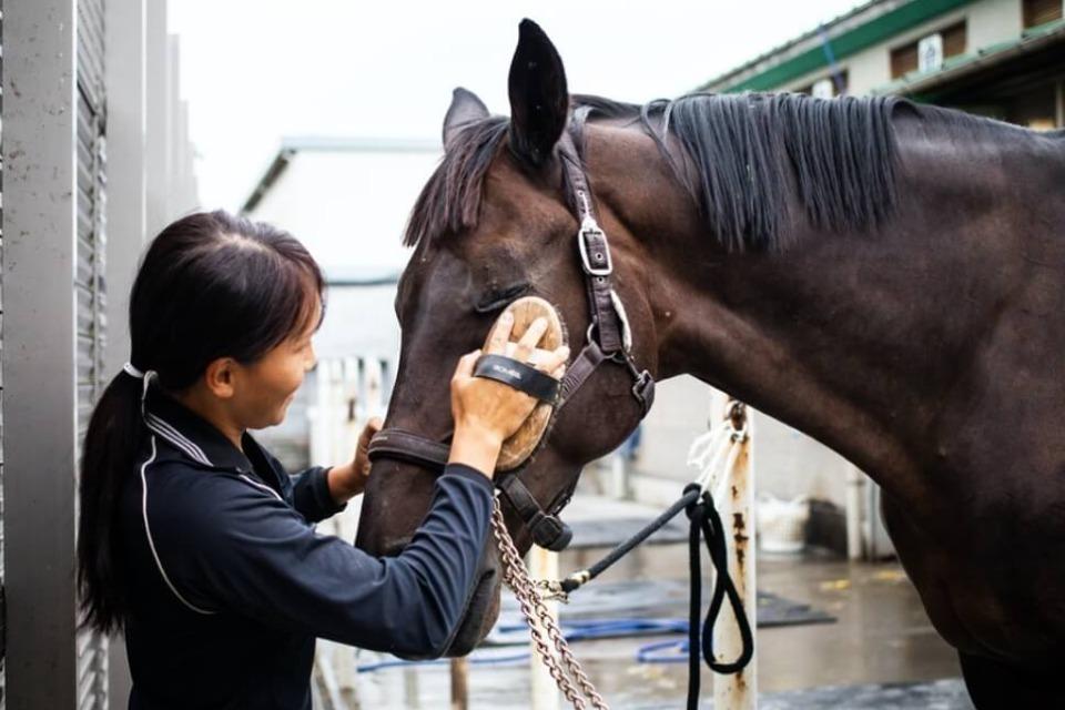 私たちの取り組む課題の画像