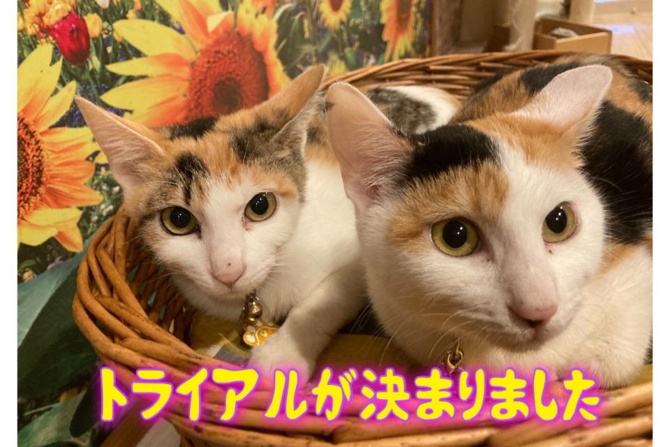 私たちの取り組む課題の画像