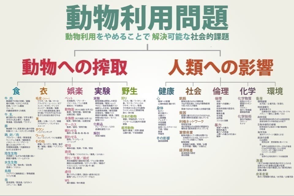 私たちの取り組む課題の画像