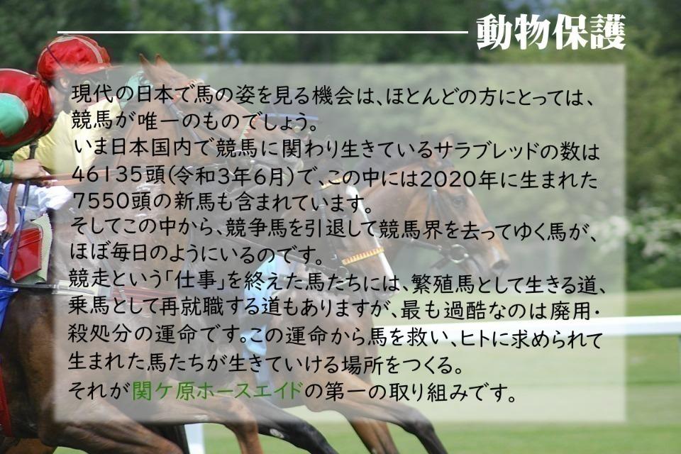 私たちの取り組む課題の画像
