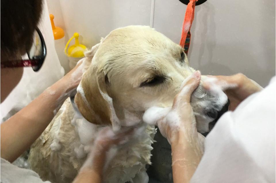 私たちの取り組む課題の画像