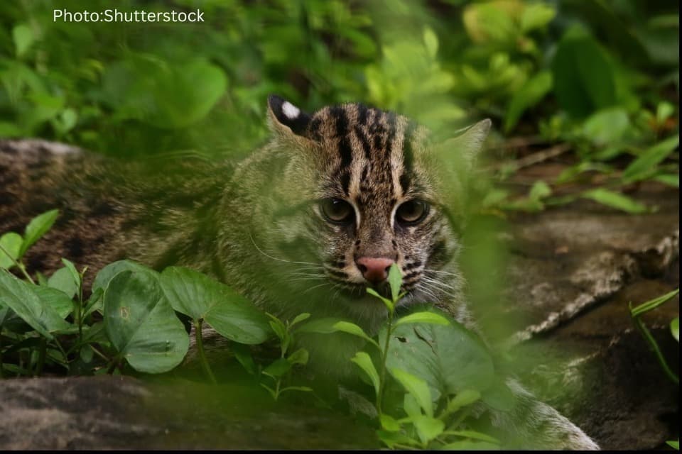 私たちの取り組む課題の画像