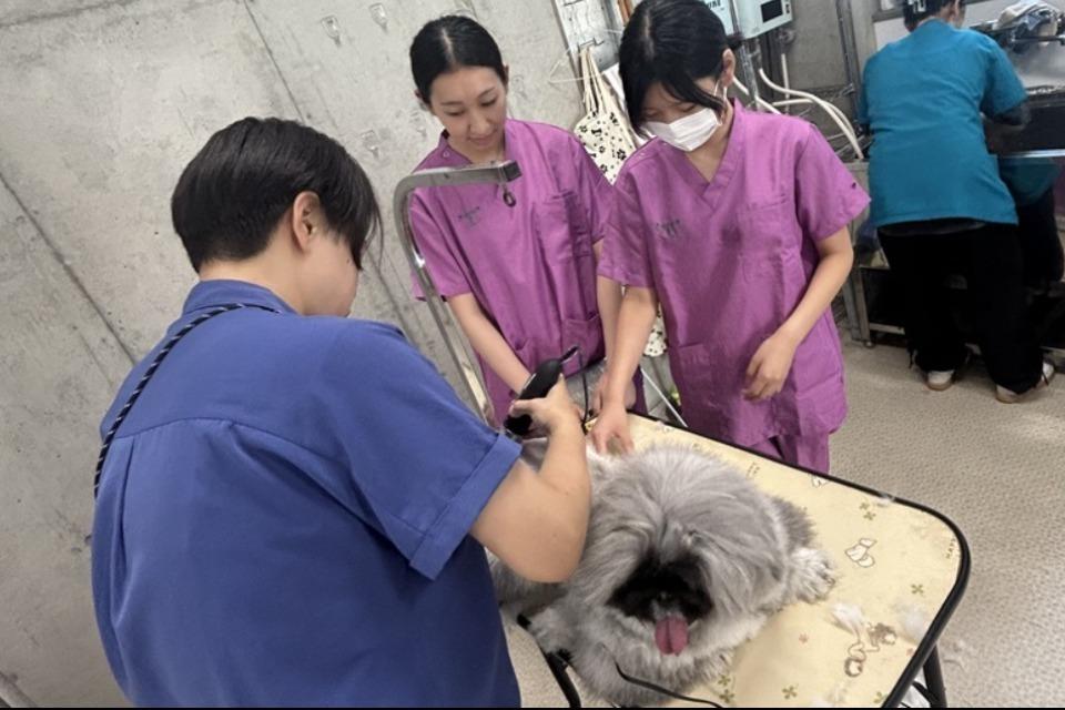 私たちの取り組む課題の画像