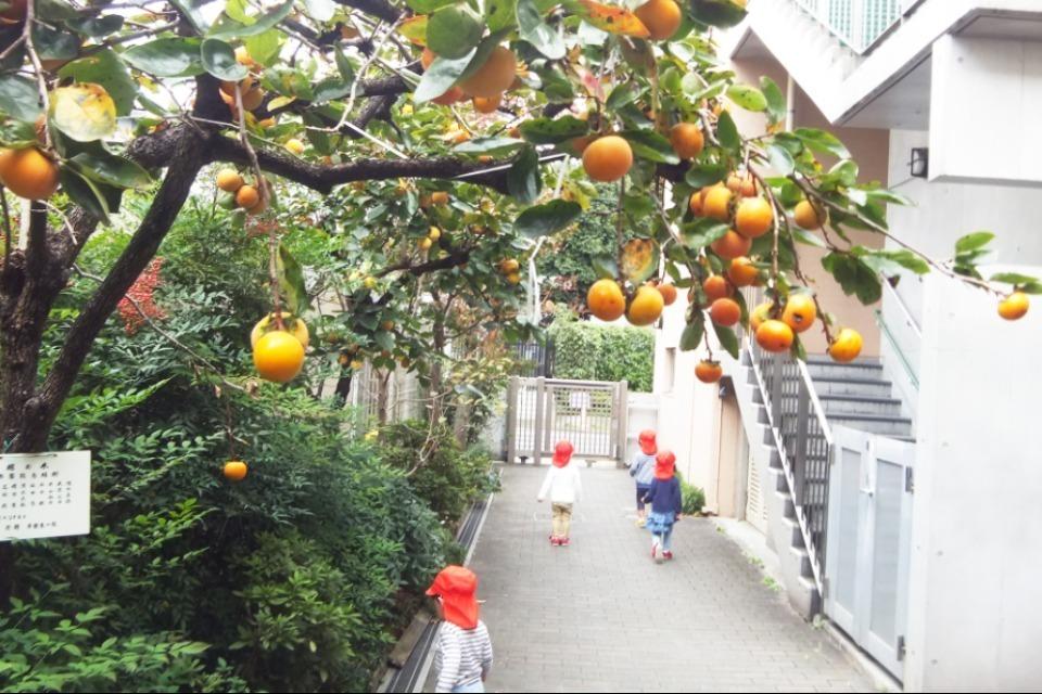 私たちの取り組む課題の画像