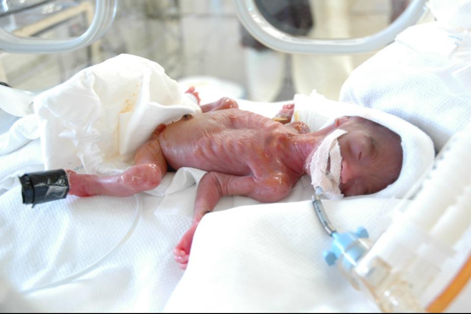 私たちの取り組む課題の画像