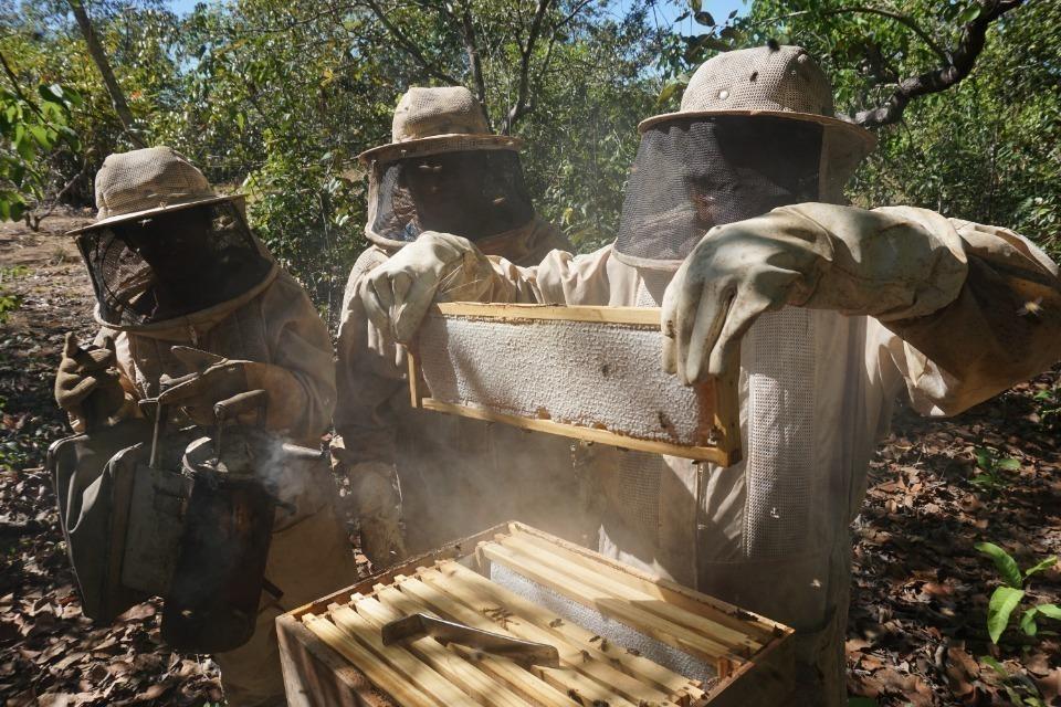 私たちの取り組む課題の画像