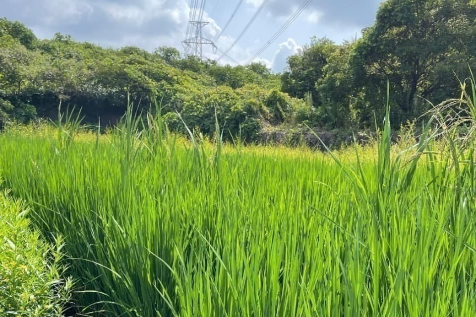 私たちの取り組む課題の画像