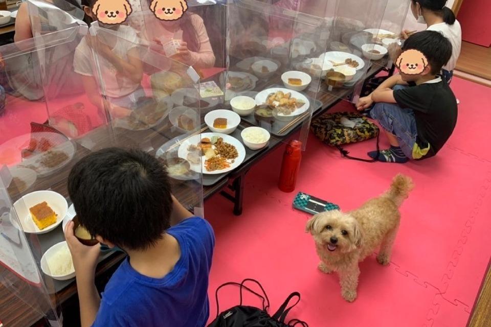 私たちの取り組む課題の画像