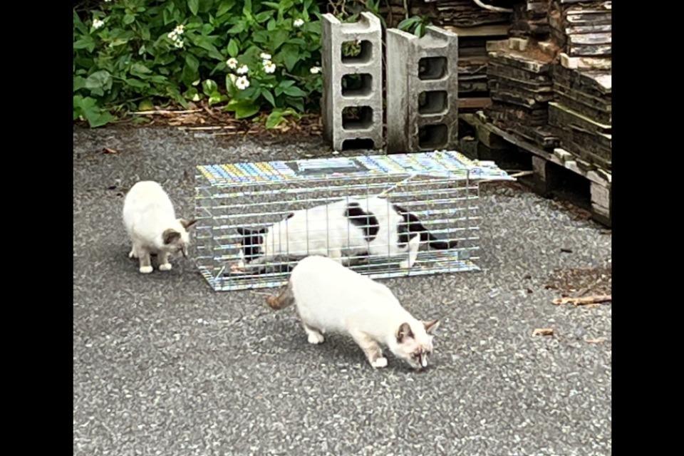 私たちの取り組む課題の画像
