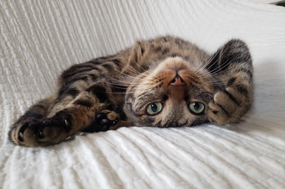 私たちの取り組む課題の画像