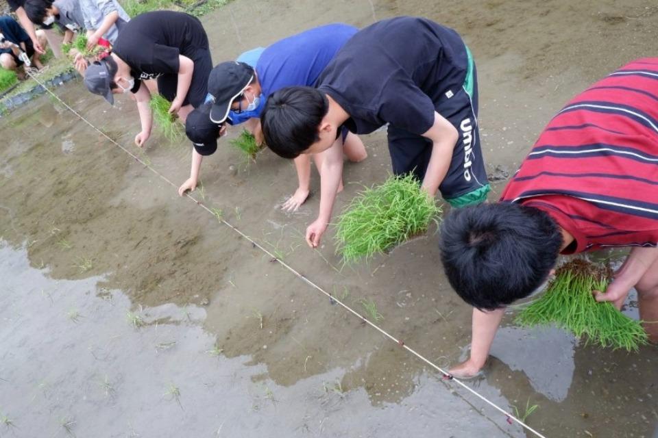 私たちの取り組む課題の画像
