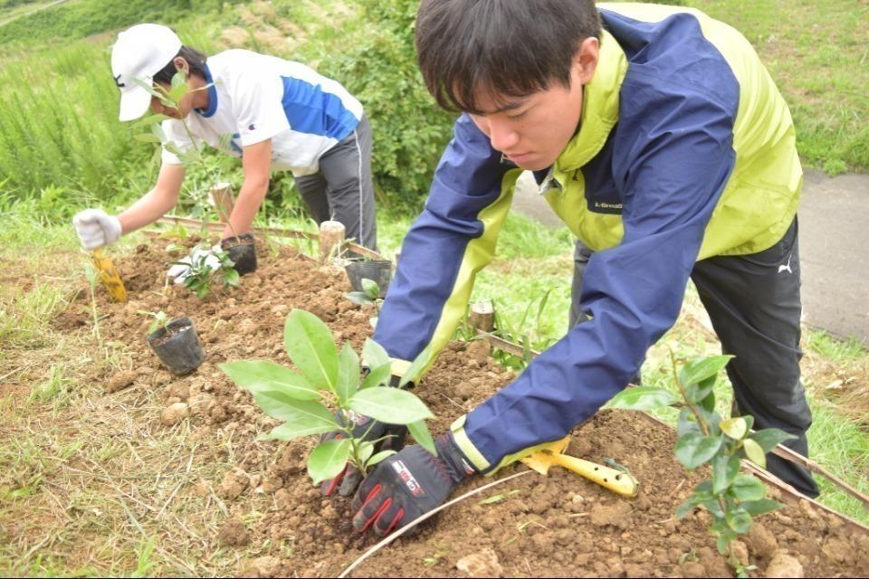私たちの取り組む課題の画像