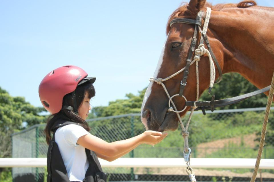 Issues we are working on Image