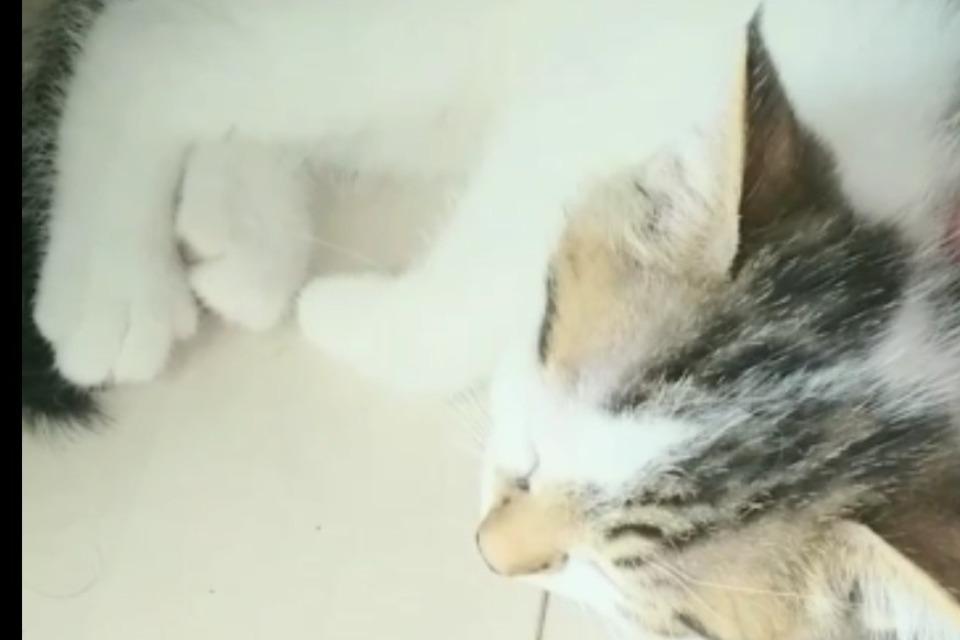 私たちの取り組む課題の画像