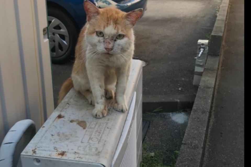 私たちの取り組む課題の画像