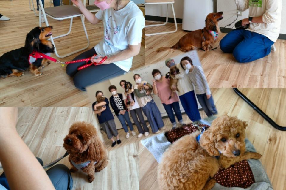 私たちの取り組む課題の画像