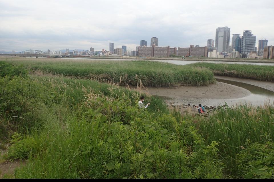 私たちの取り組む課題の画像