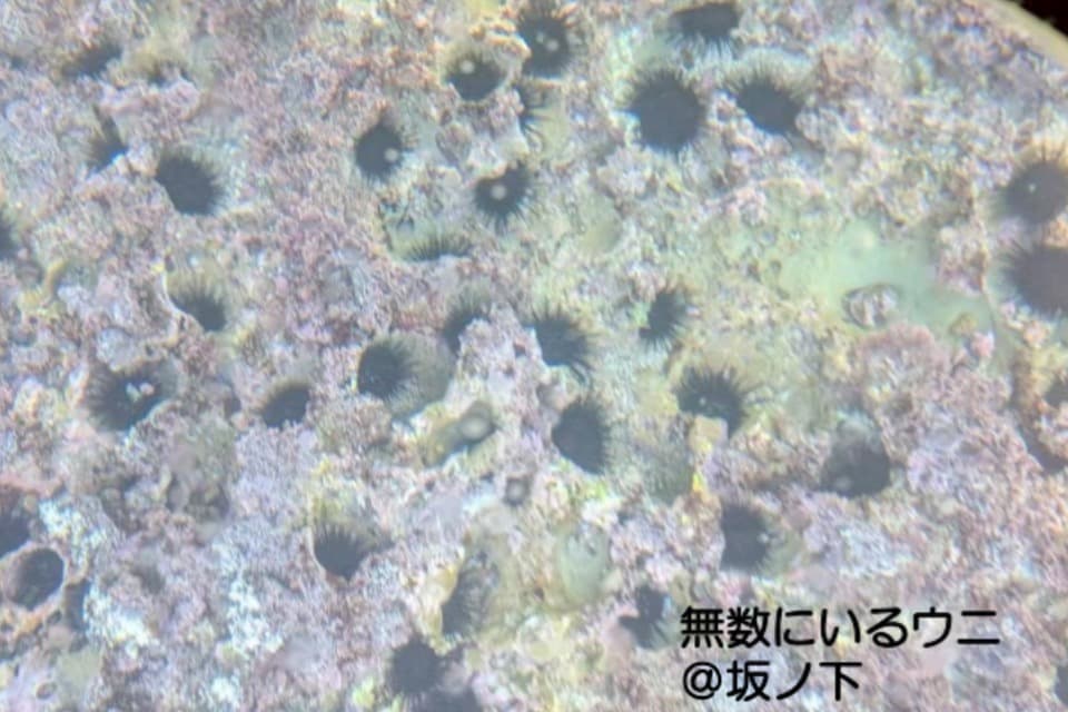 私たちの取り組む課題の画像