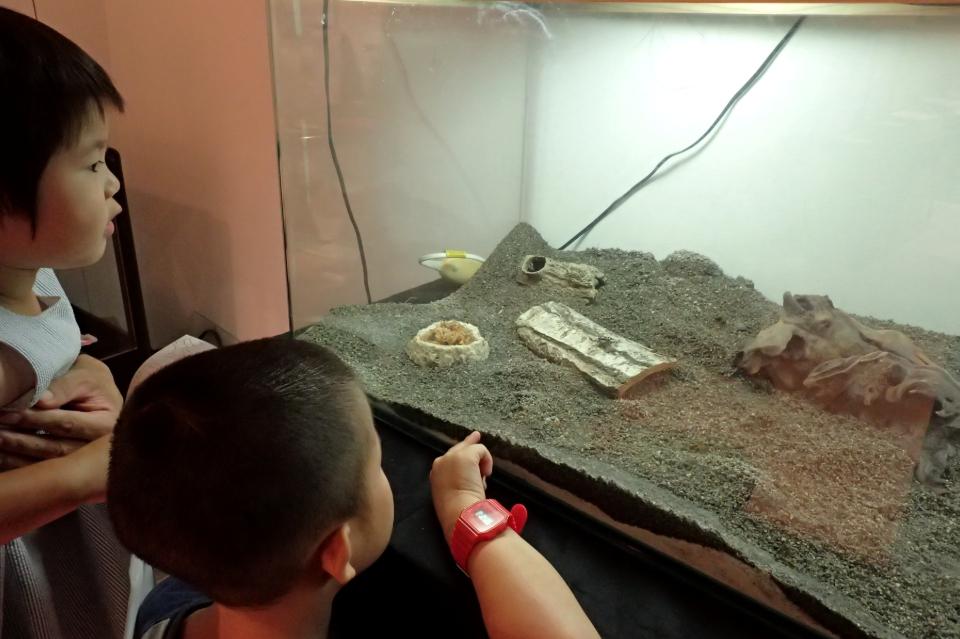 私たちの取り組む課題の画像