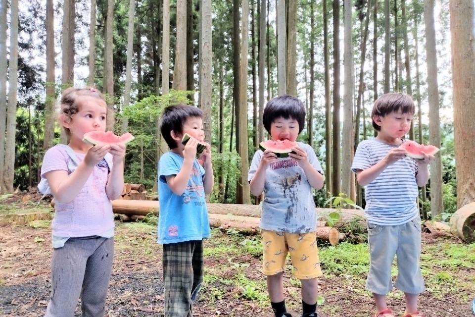 私たちの取り組む課題の画像