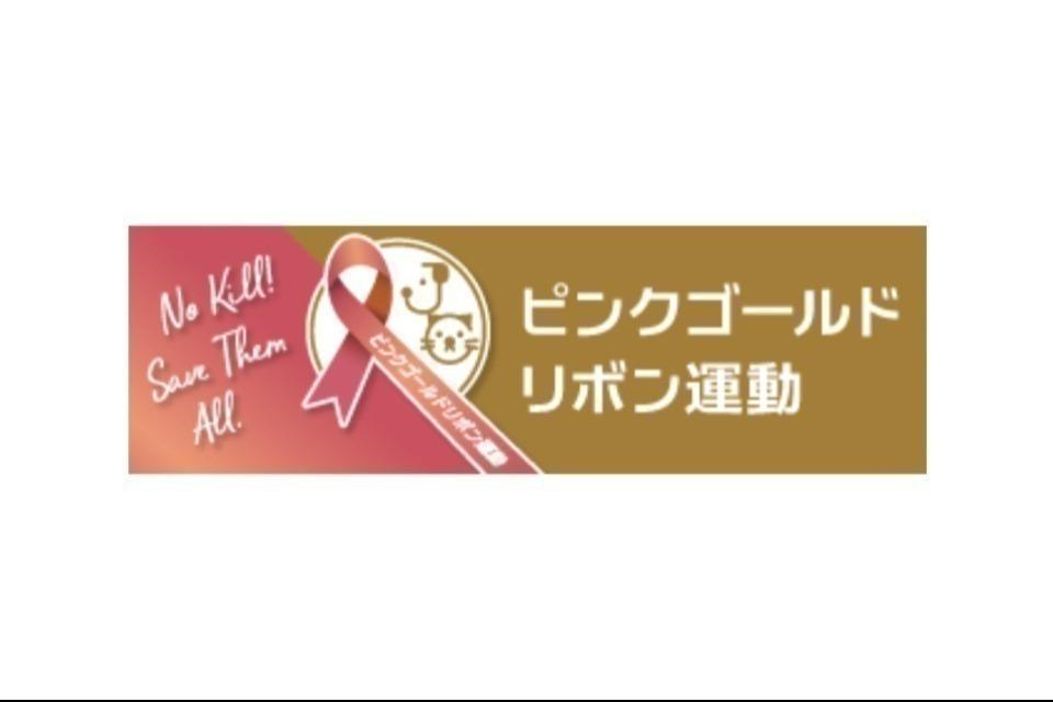 私たちの取り組む課題の画像