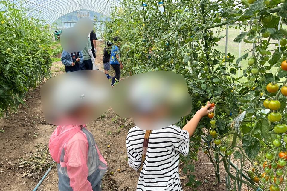 私たちの取り組む課題の画像