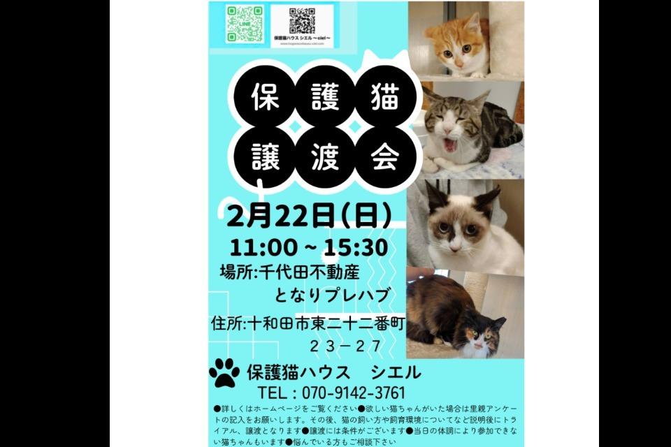 私たちの取り組む課題の画像