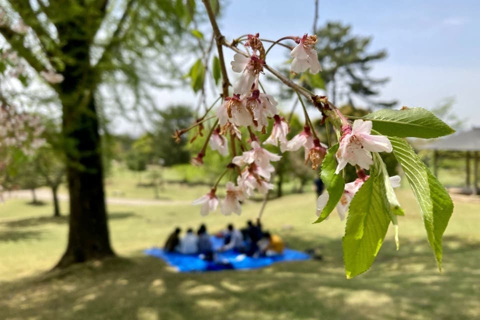 私たちの取り組む課題の画像