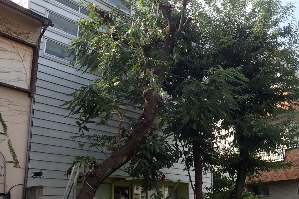 私たちの取り組む課題の画像