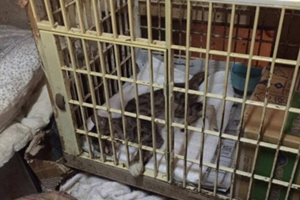 Issues we are working on Image