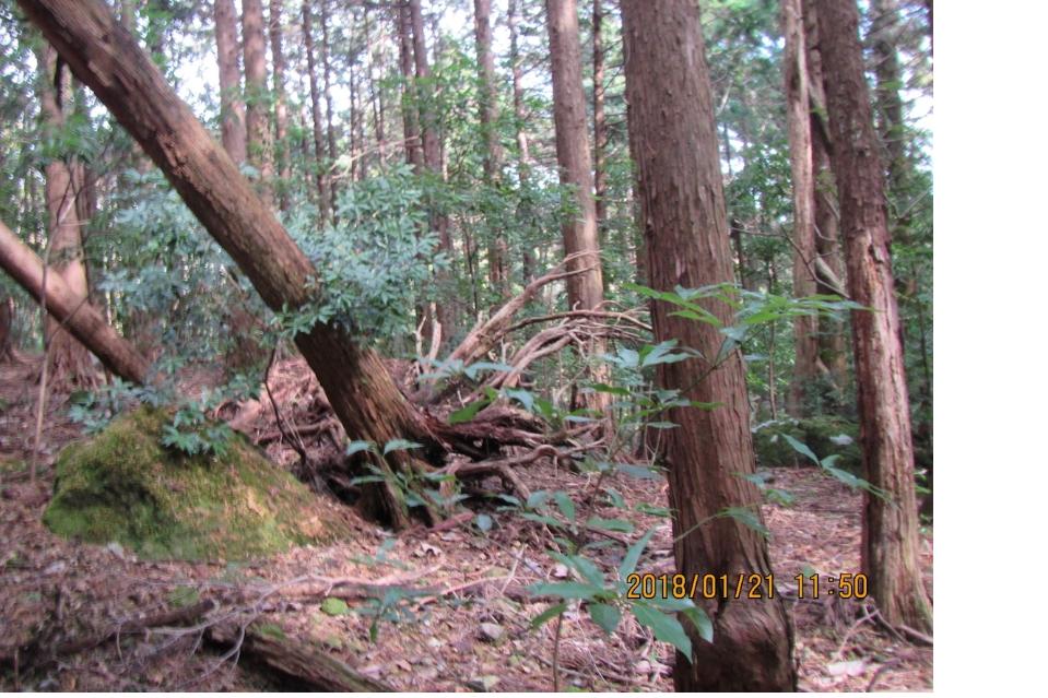 私たちの取り組む課題の画像