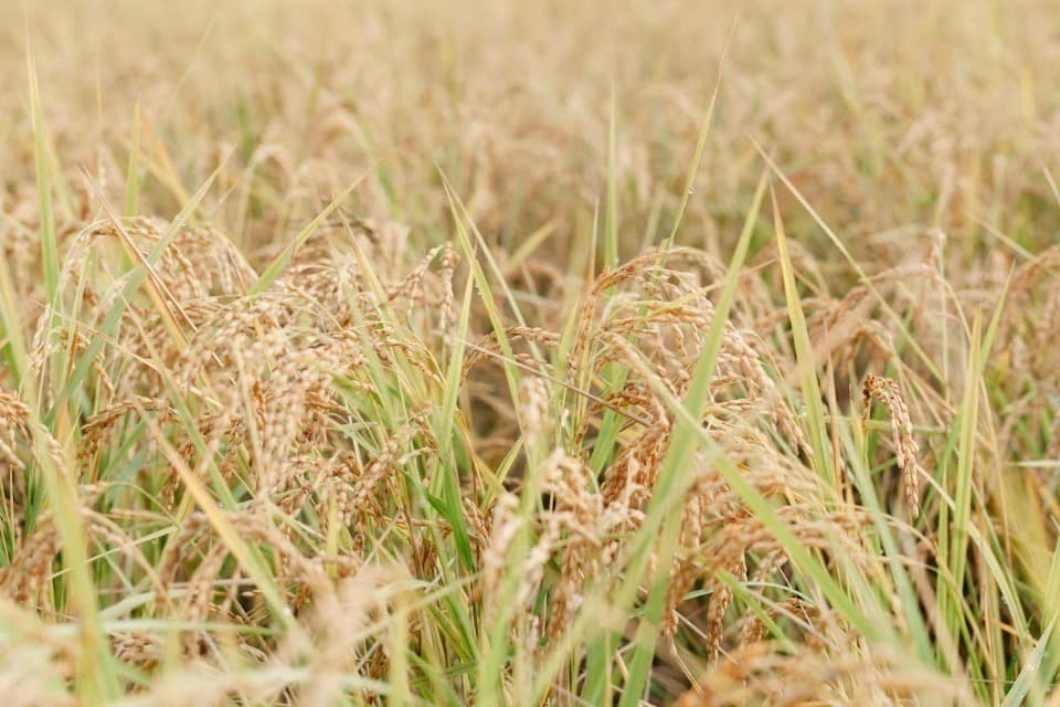 私たちの取り組む課題の画像