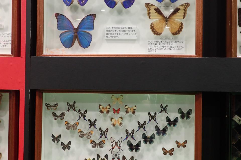 私たちの取り組む課題の画像