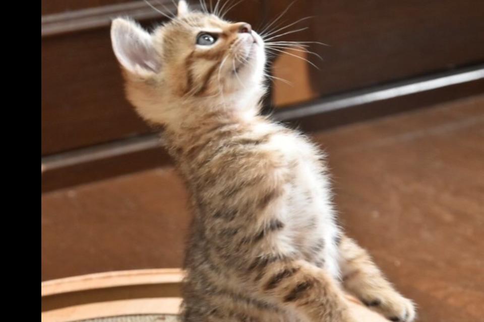 私たちの取り組む課題の画像