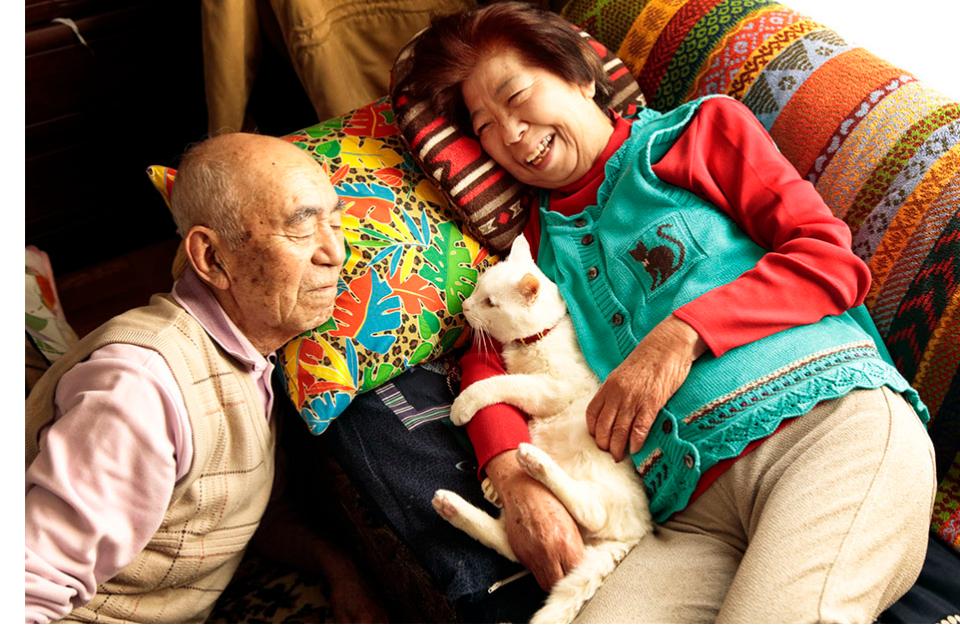 Issues we are working on Image