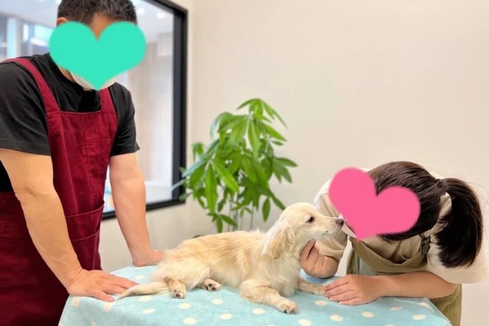私たちの取り組む課題の画像