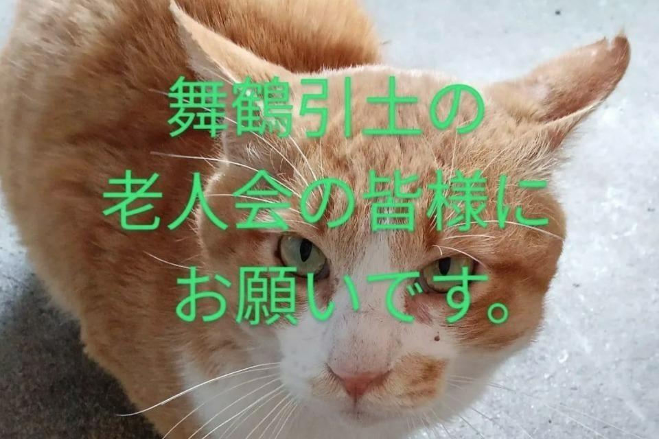 私たちの取り組む課題の画像