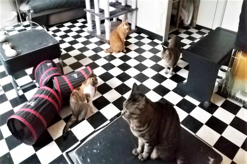 私たちの取り組む課題の画像