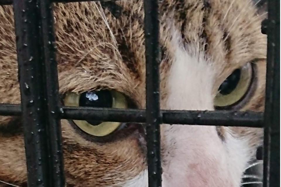 私たちの取り組む課題の画像