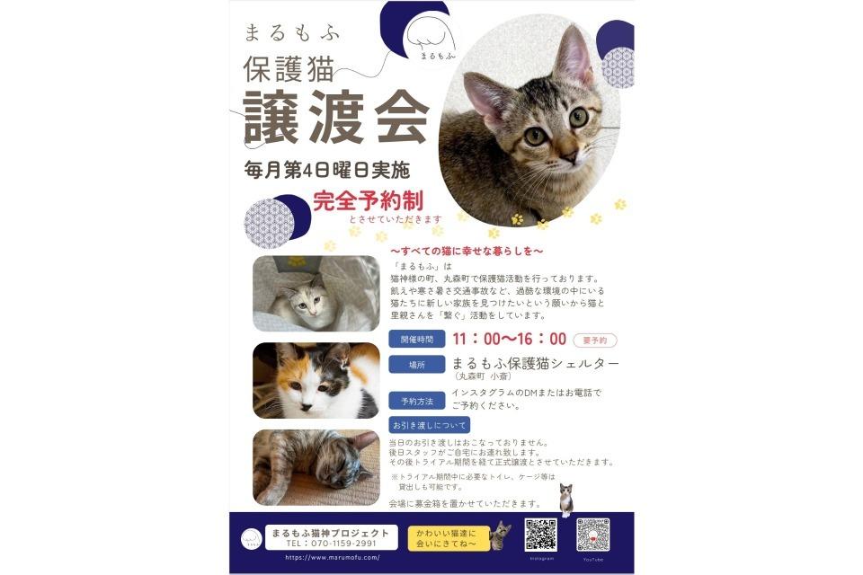 私たちの取り組む課題の画像