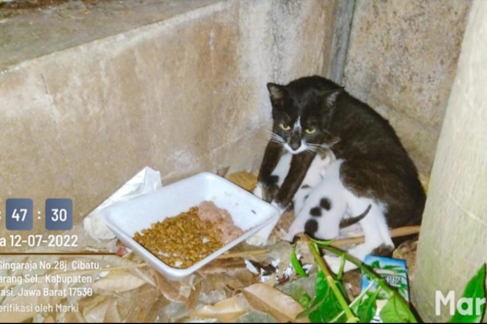 私たちの取り組む課題の画像