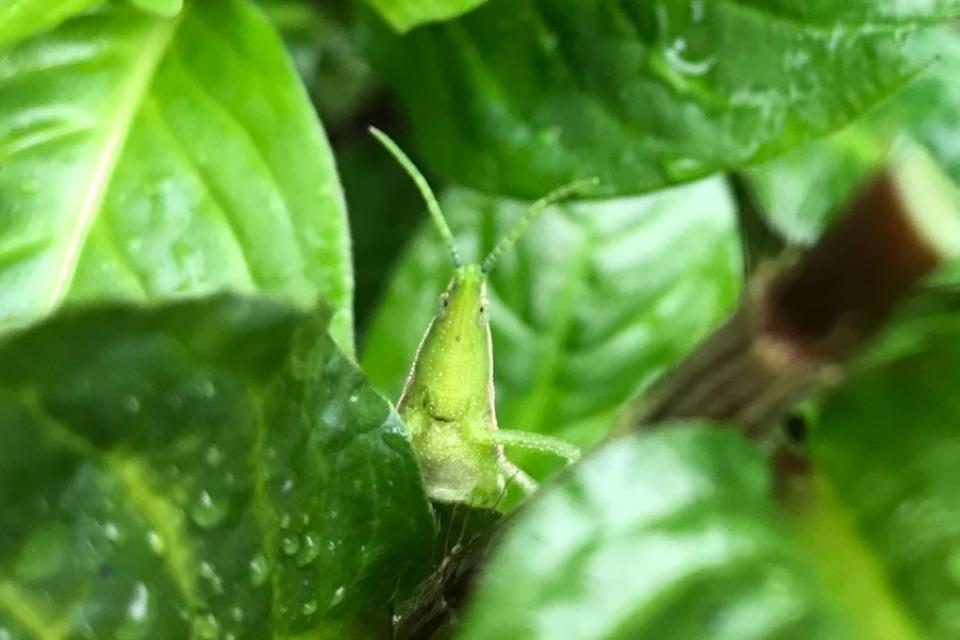私たちの取り組む課題の画像